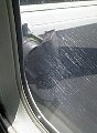 AUT_7146.JPG